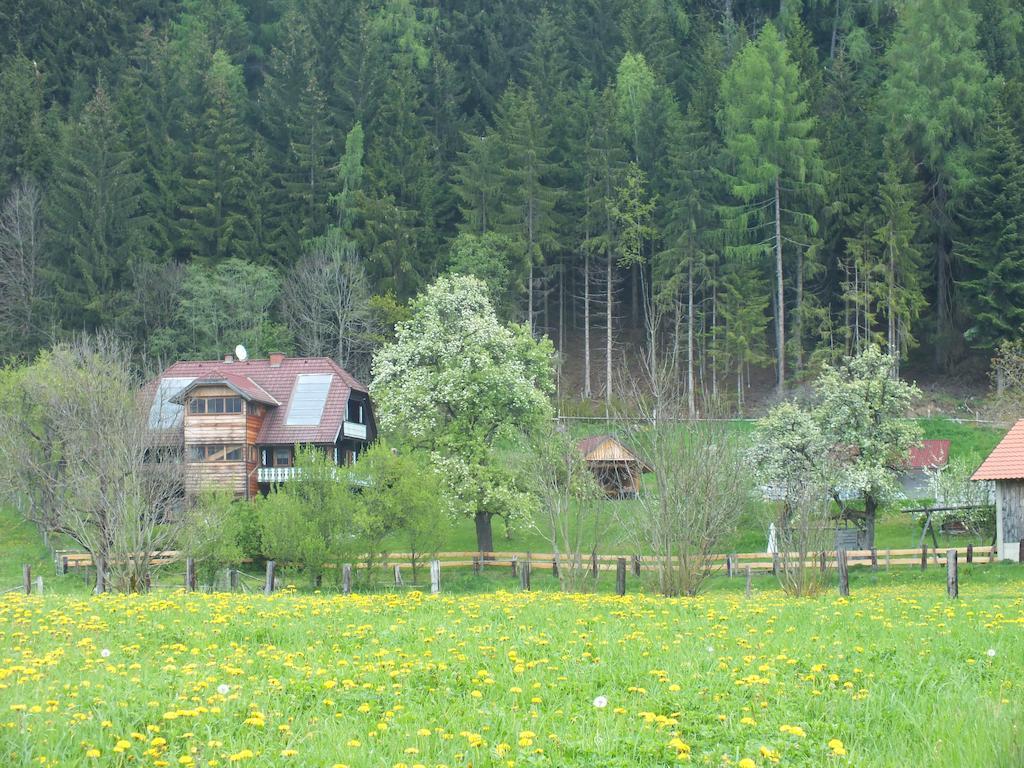 Steurer Hof Apartment Liebenfels Exterior photo